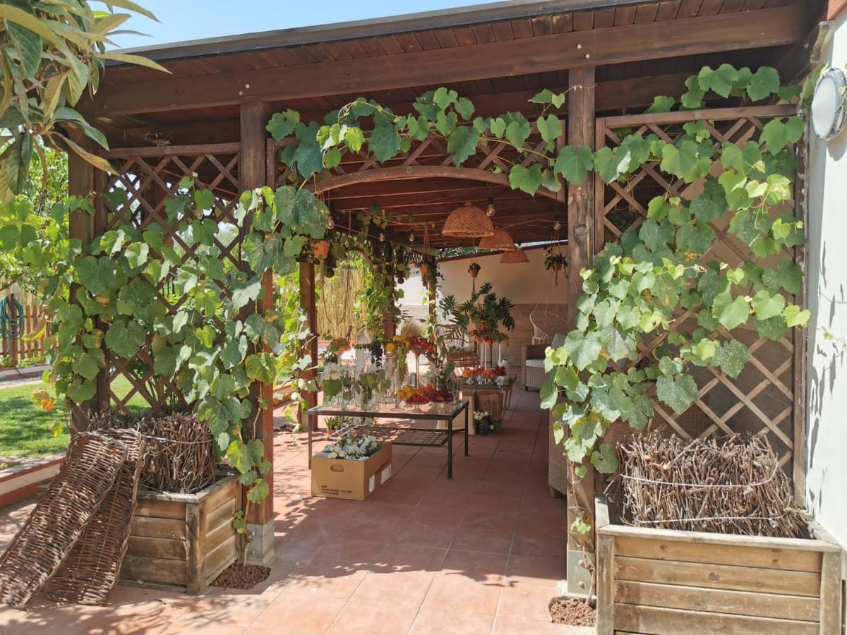 Alma Migrante Bed&Wine Ξενοδοχείο Telese Εξωτερικό φωτογραφία